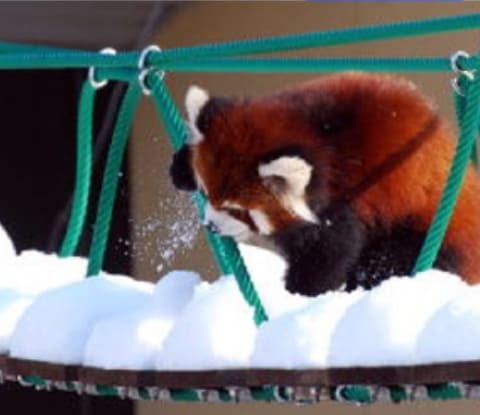 動物園